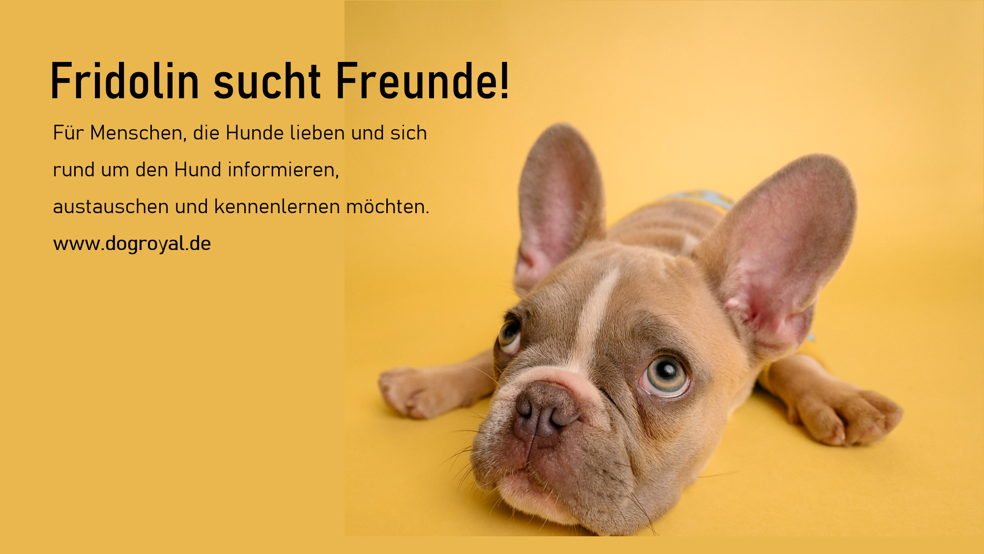 Für Menschen, die Hunde lieben.