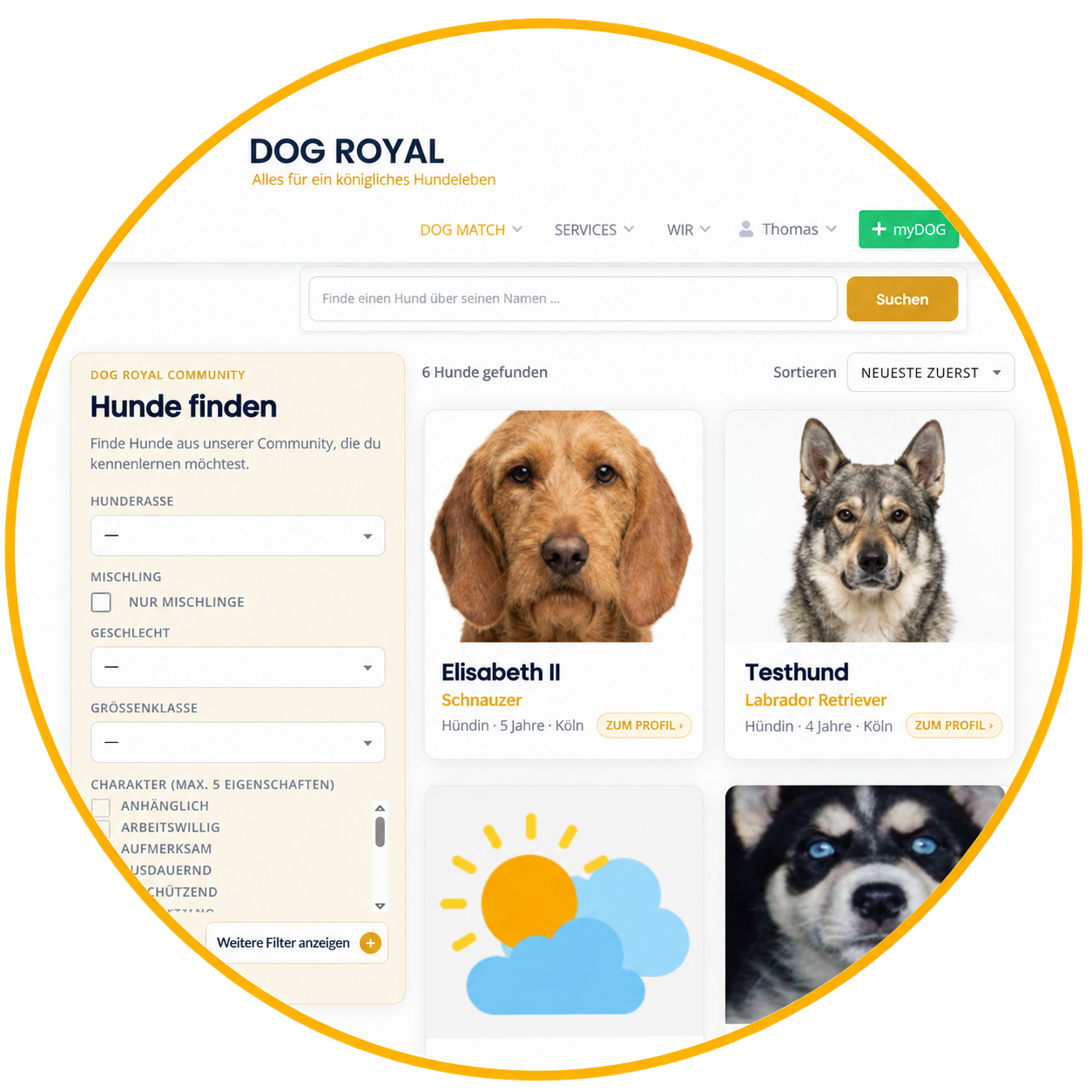 Hunde in DOG MATCH finden