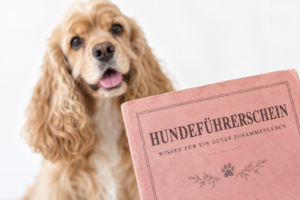 Hundeführerschein
